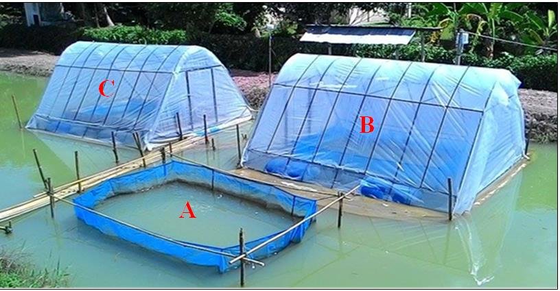 aquaculture cages