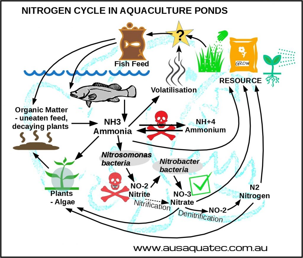 Aquaculture Nitrogen
